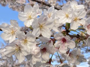 �\���C���V�m