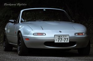 �Ԓ����̓���(��)