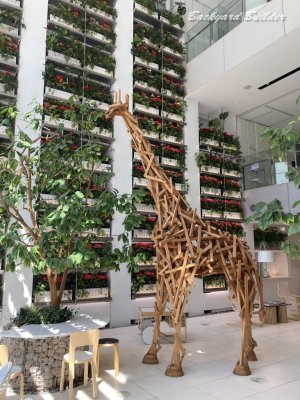 �I���K�J�X�^�[�}�[�T�[�r�X����