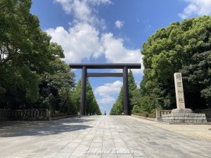 �����_��