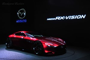 RX Vision (2015)
