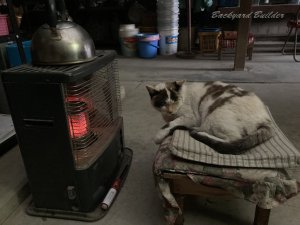 �����Ȃ��V��