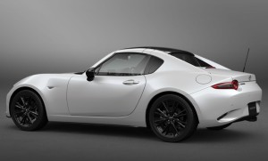 �X�m�[�t���C�N�z���C�g�p�[���}�C�J