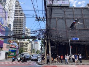 �o���R�N�̌i�F