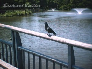 �͂�@��̓������i1998�j