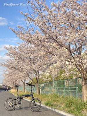 2023�N�B�e by iPhone SE