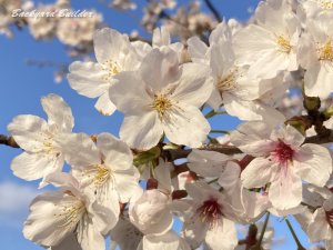 ���N�̍���(^^)