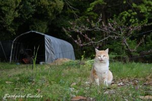 ���[�����