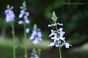 �}�c�o�E������