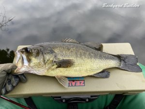 44cm @�����r