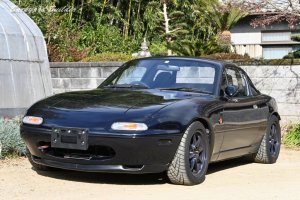 ���������Ȃ�̋��z�𕥂��Ď�ɓ��ꂽ(��)