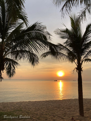 �t�[�R�b�N��