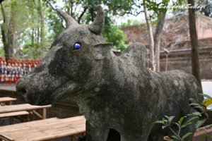 �\���N���[��