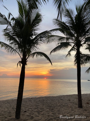 �t�[�R�b�N��