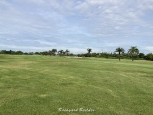 �o���R�N�̃S���t��