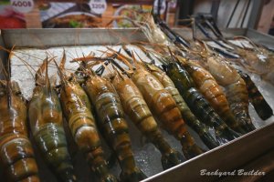 �i�C�g�}�[�P�b�g